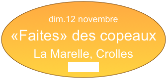 
dim.12 novembre
«Faites» des copeaux
La Marelle, Crolles
cliquez ici